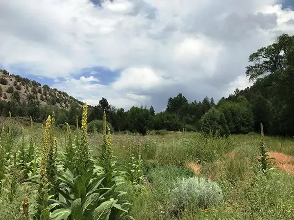 Panguitch, UT 84759,240 Acres W Pennys Pond RD