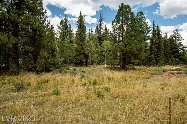 Outside Washington County, UT 84735,1009 E Ponderosa RD