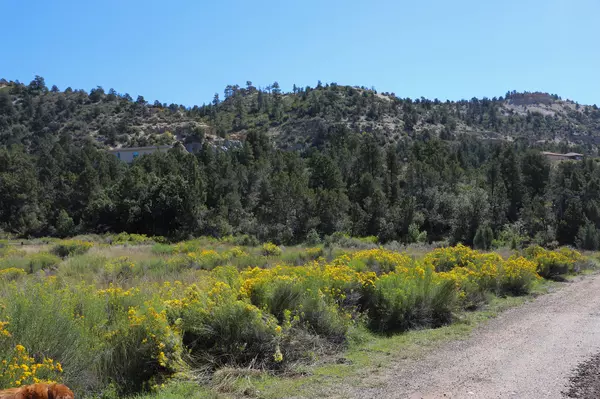 Glendale, UT 84729,Lot 33 Berryville Hills