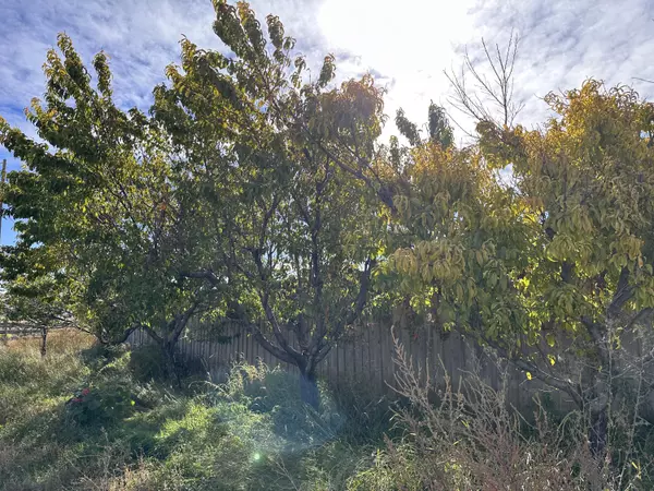 Escalante, UT 84726,1950 S Lizard Ranch RD