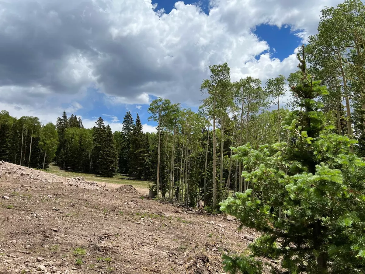 Beaver, UT 84713,Skyline Terrace CT