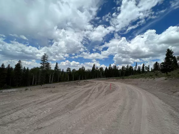 Beaver, UT 84713,Skyline Terrace CT