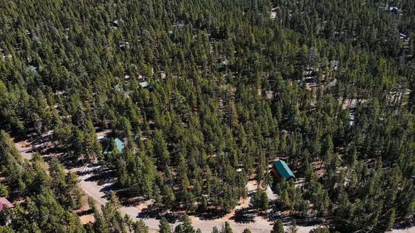 1170 N Ponderosa DR, Duck Creek, UT 84762