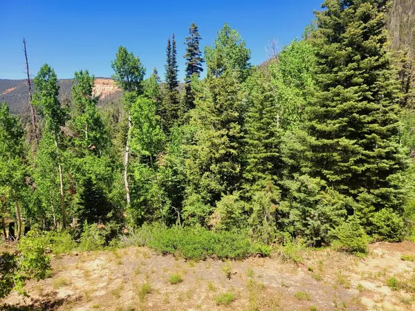 6305 W Muley DR, Duck Creek, UT 84762