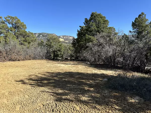 Mt. Carmel, UT 84755,3 Acres in North Fork Sub / Cougar Cyn