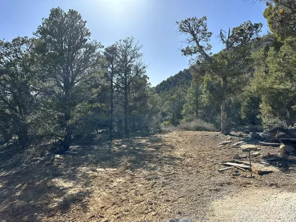 Mt. Carmel, UT 84755,3 Acres in North Fork Sub / Cougar Cyn