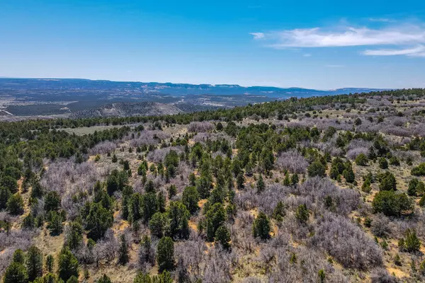 Mt. Carmel, UT 84755,829.15 Acres East of Zion