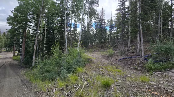 Beaver, UT 84713,Pine Lane