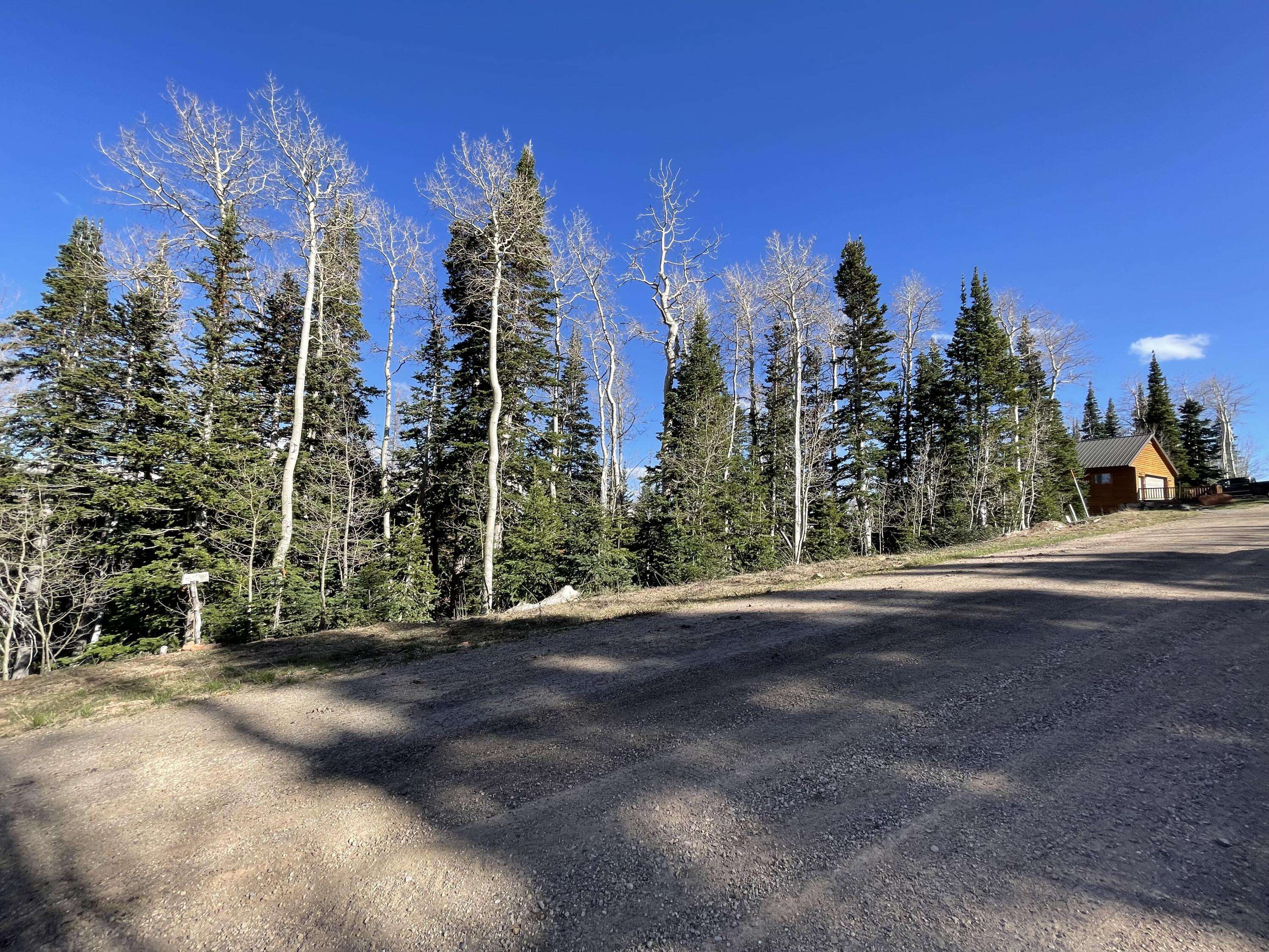 Brian Head, UT 84719,695 W Hunter Ridge