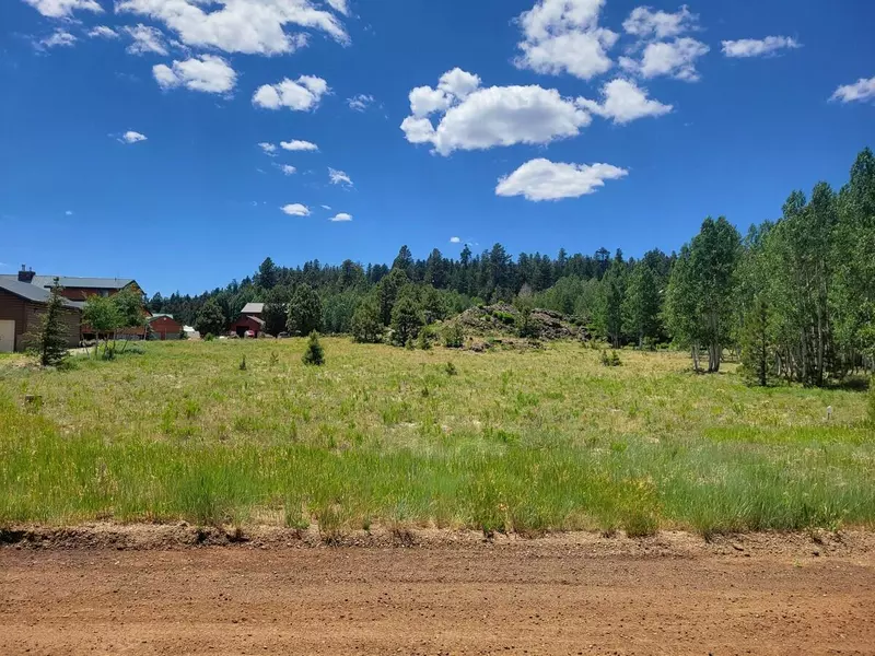4175 N Sundance Kid LN, Duck Creek, UT 84762
