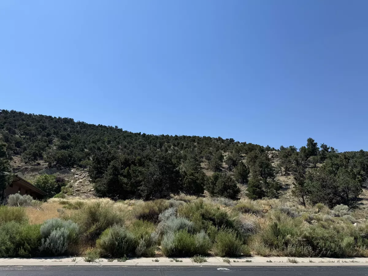 Cedar City, UT 84721,1920 N Mahogany CIR