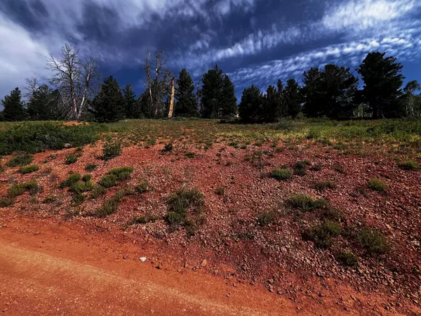 Brian Head, UT 84719,496 W Kokopelli