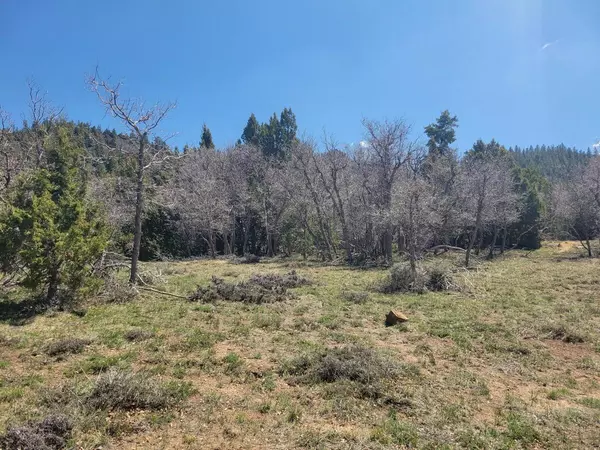 Duck Creek, UT 84762,Lot 2 Ridgeview Ave