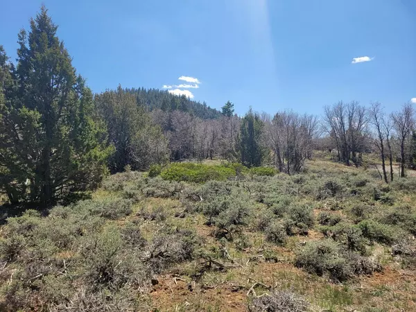 Duck Creek, UT 84762,Lot 2 Ridgeview Ave