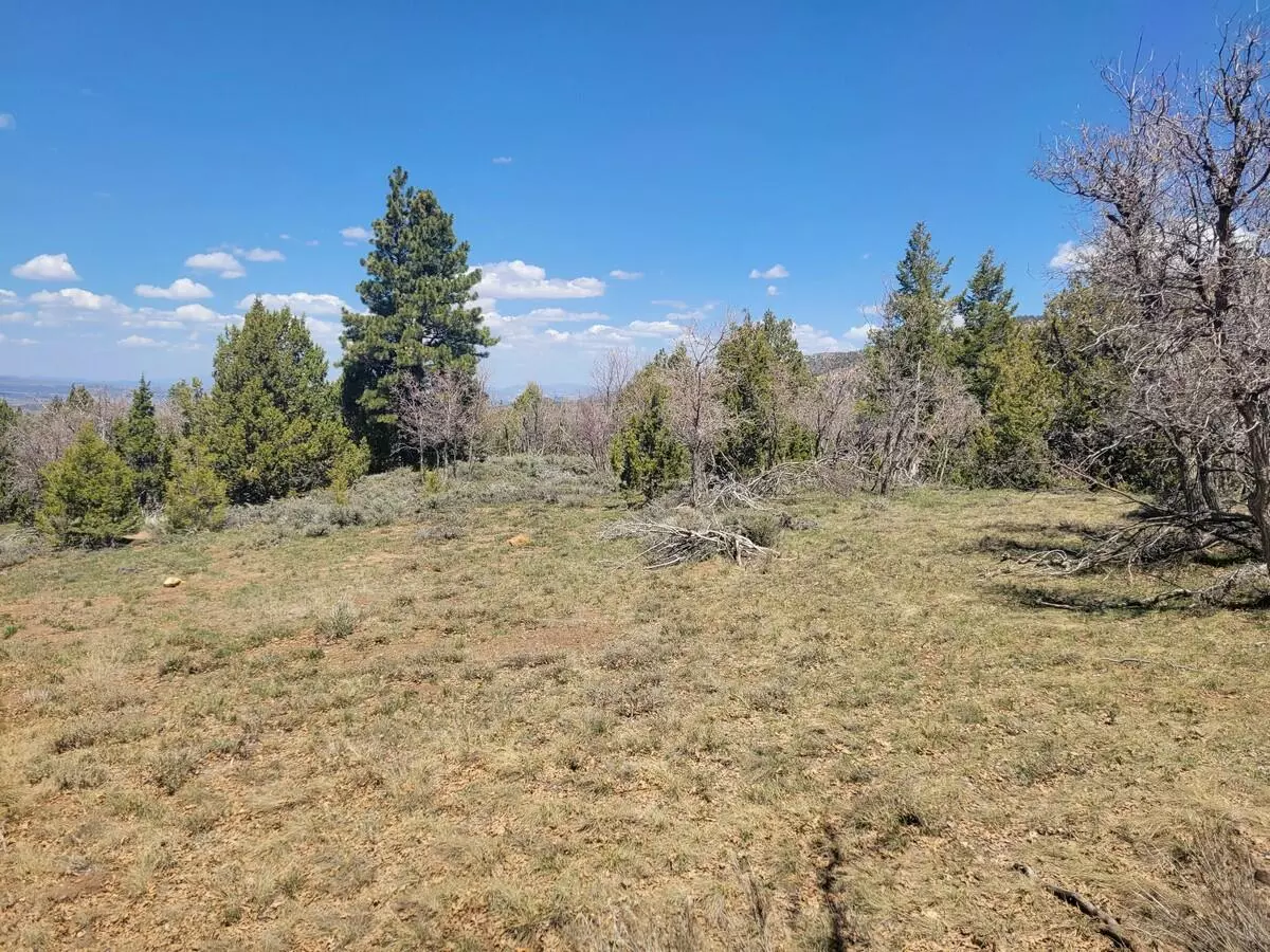 Duck Creek, UT 84762,Lot 2 Ridgeview Ave