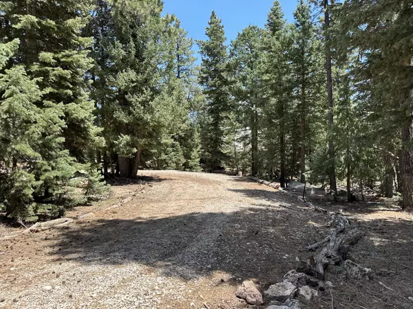 Duck Creek, UT 84762,530 E Forest DR