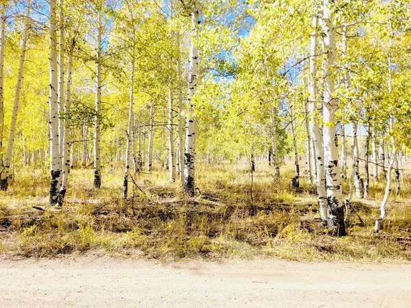 4484 S 2275 E, Cedar City, UT 84720