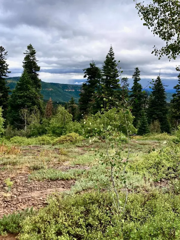 Virgin, UT 84779,1049-C-HV KOLOB Terrance Rd