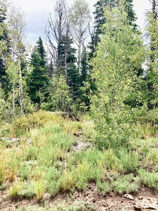 Virgin, UT 84779,1049-K-HV kOLOB TERRACE RD