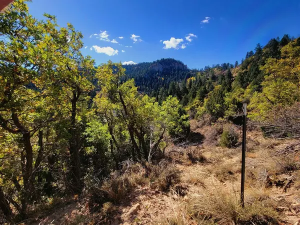 Duck Creek, UT 84762,Lot 18 White Sands Loop