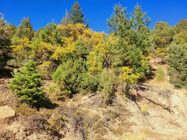 Duck Creek, UT 84762,Lot 22 Bonnie Green DR