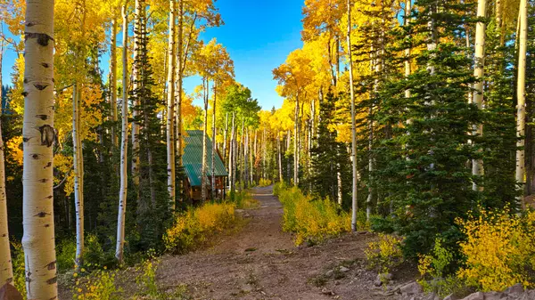 Beaver, UT 84713,Elk Meadows Road