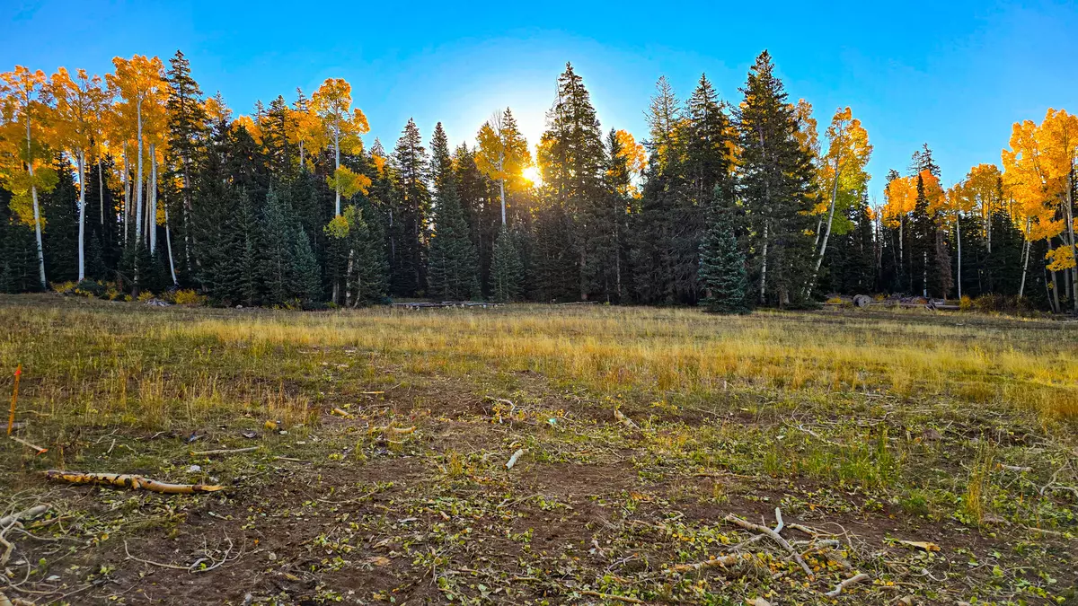 Beaver, UT 84713,Elk Meadows Road