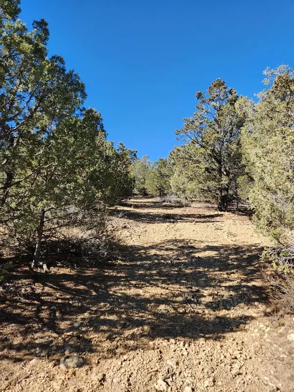 Hatch, UT 84735,1765 W Pinyon Hills RD E