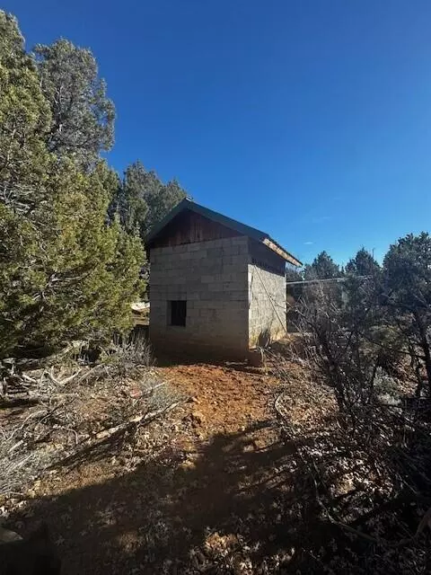 Kanab, UT 84741,DSR Briar Patch Lane