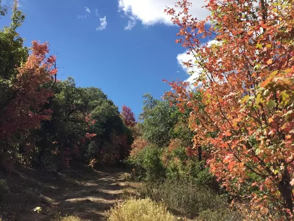 Duck Creek, UT 84762,914.95 AC County RD