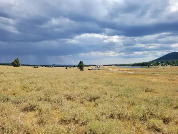 Brian Head, UT 84719,2373 E Meadow Lake