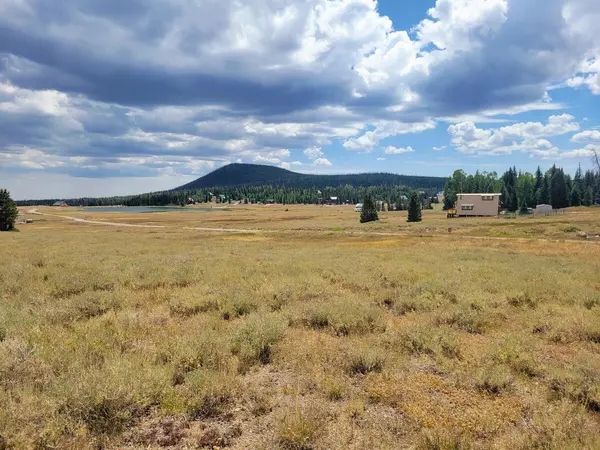 Brian Head, UT 84719,2373 E Meadow Lake