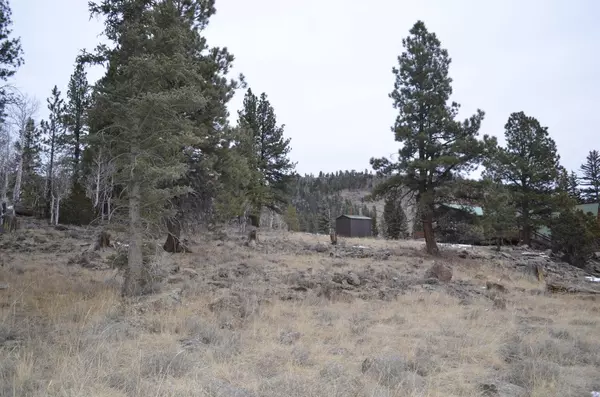 Panguitch, UT 84759,60 N 1270 W
