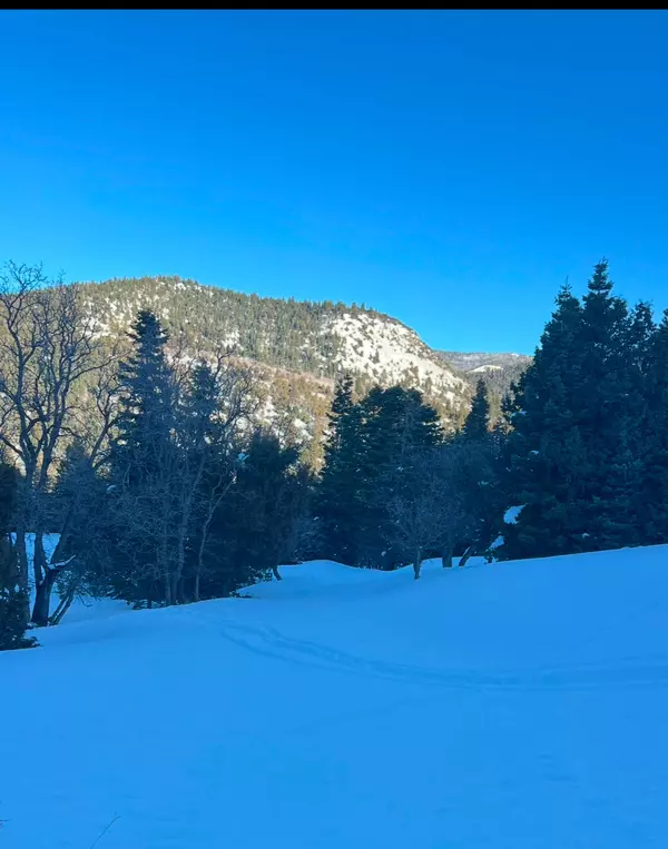 Cedar City, UT 84720,Cedar Mountain Ashdown Gorge