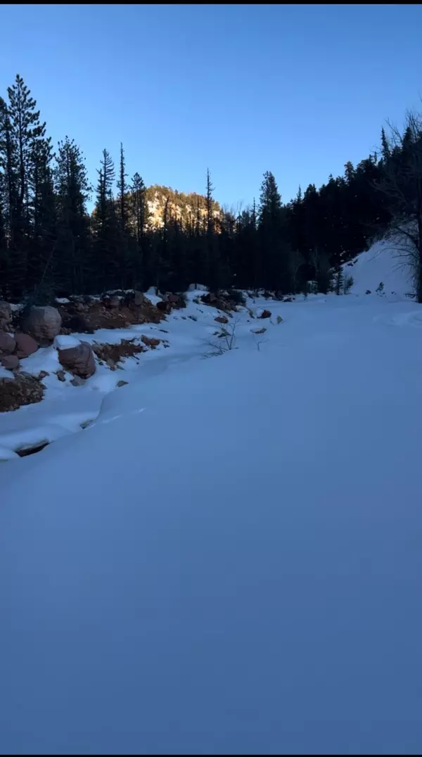 Cedar Mountain Ashdown Gorge, Cedar City, UT 84720