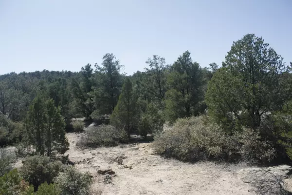 Apple Valley, UT 84737,400 N Coyote RD