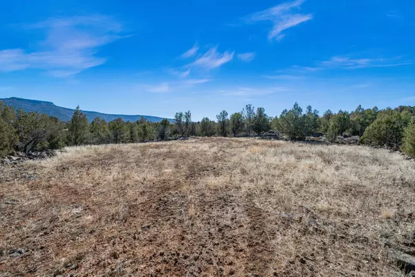 New Harmony, UT 84757,Lot #302 Ash Cove