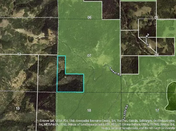 Brian Head, UT 84719,78.75 acres near Pickering Crk