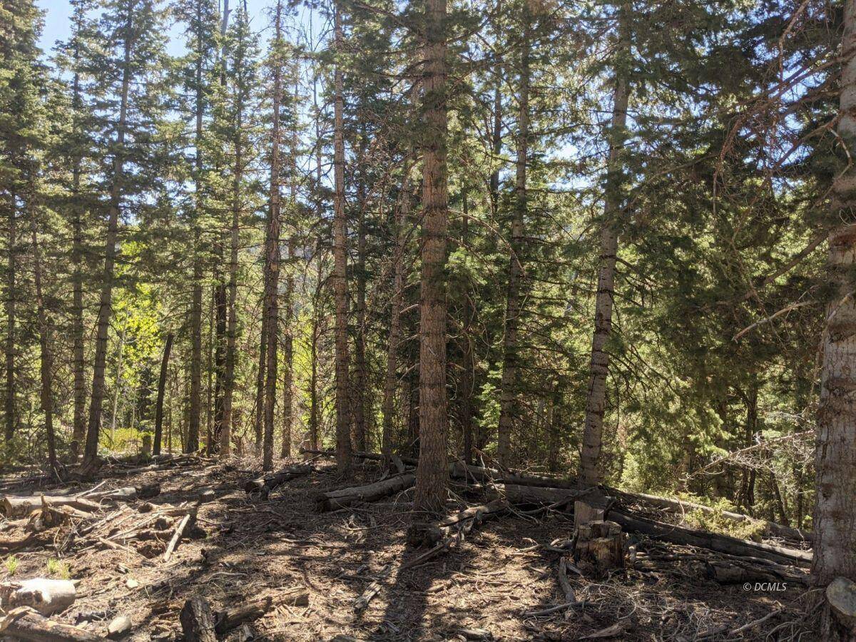 26 Bonnie Green, Duck Creek, UT 84762