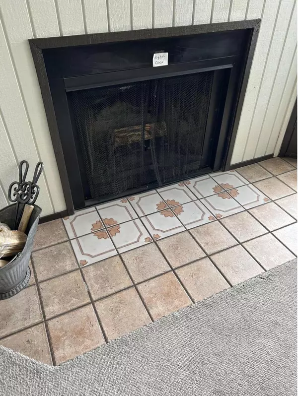 Brian Head, UT 84719,385 S Vasels RD 78