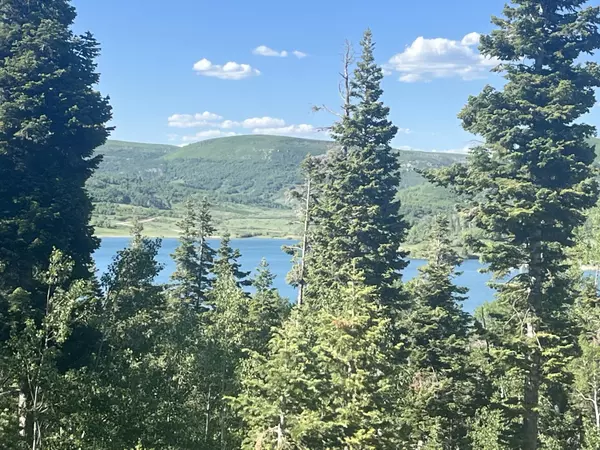 Virgin, UT 84779,W Shoreline DR