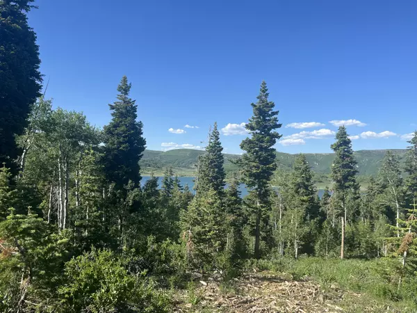 Virgin, UT 84779,W Shoreline DR
