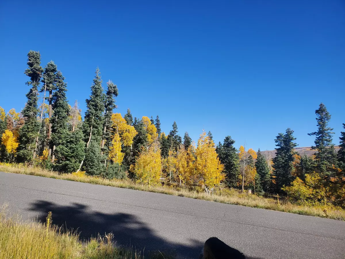 Kolob, UT 84779,Kolob Terrace RD