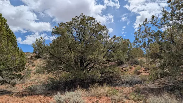 Rockville, UT 84763,R-1308-S-5 Eagle Crags RD