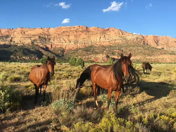 Apple Valley, UT 84737,E Rnch RD