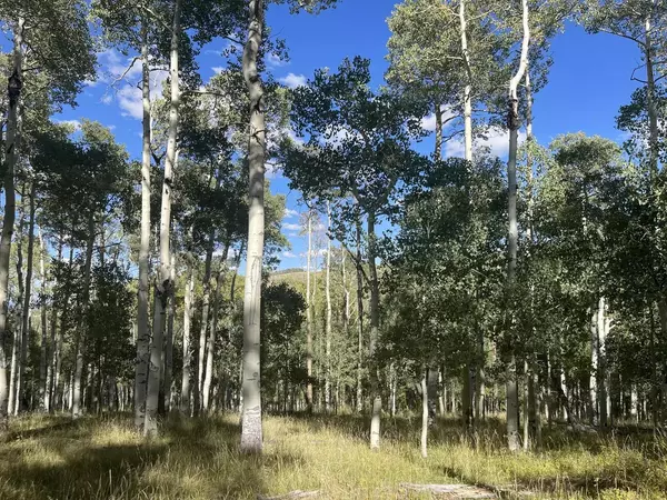 Brian Head, UT 84719,14 & 15