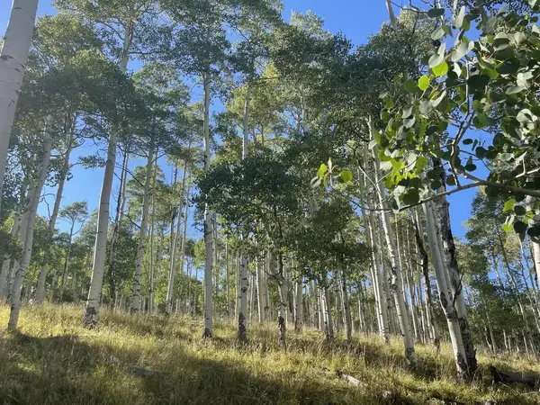 Brian Head, UT 84719,14 & 15