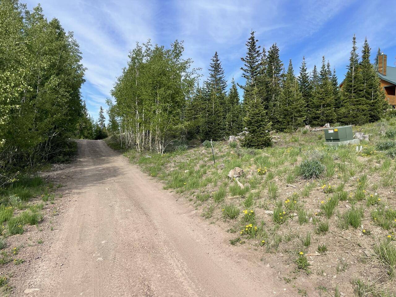 Brian Head, UT 84719,2724 E Sawmill ST