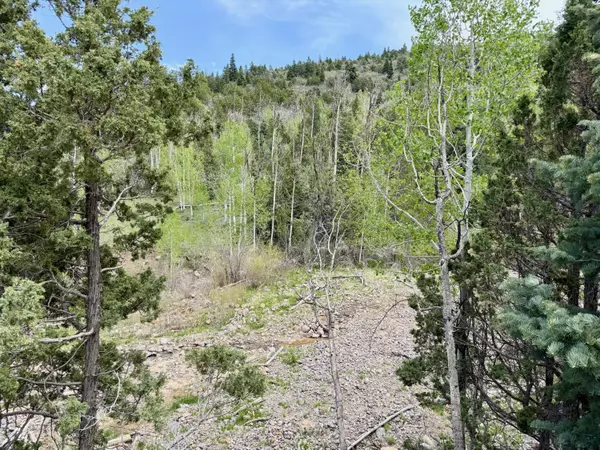 Summit, UT 84772,Lot 56-57 3200 Subdivision