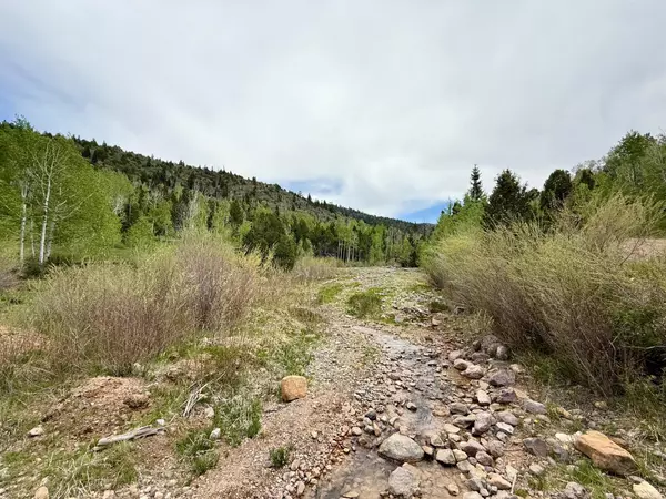 Summit, UT 84772,Lot 56-57 3200 Subdivision